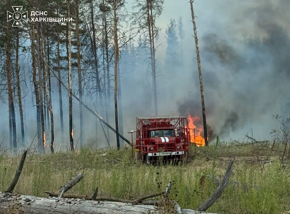 На Харківщині гасять сім лісових пожеж на площі 153 гектари